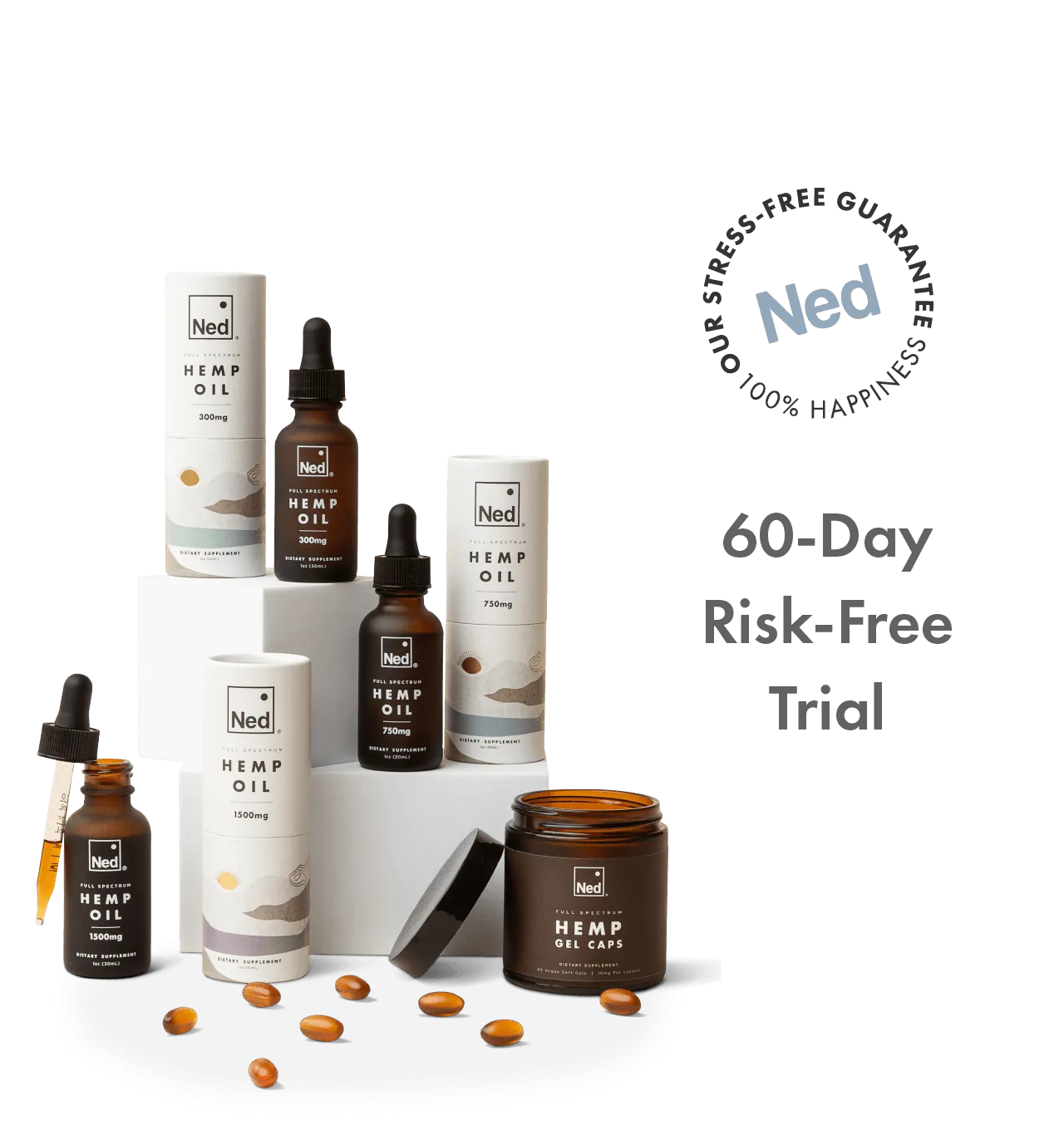 Daily Blend