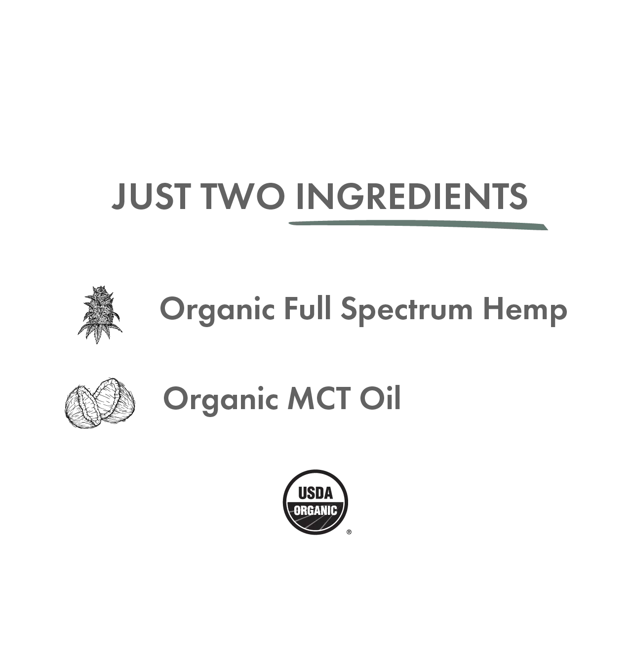 Daily Blend