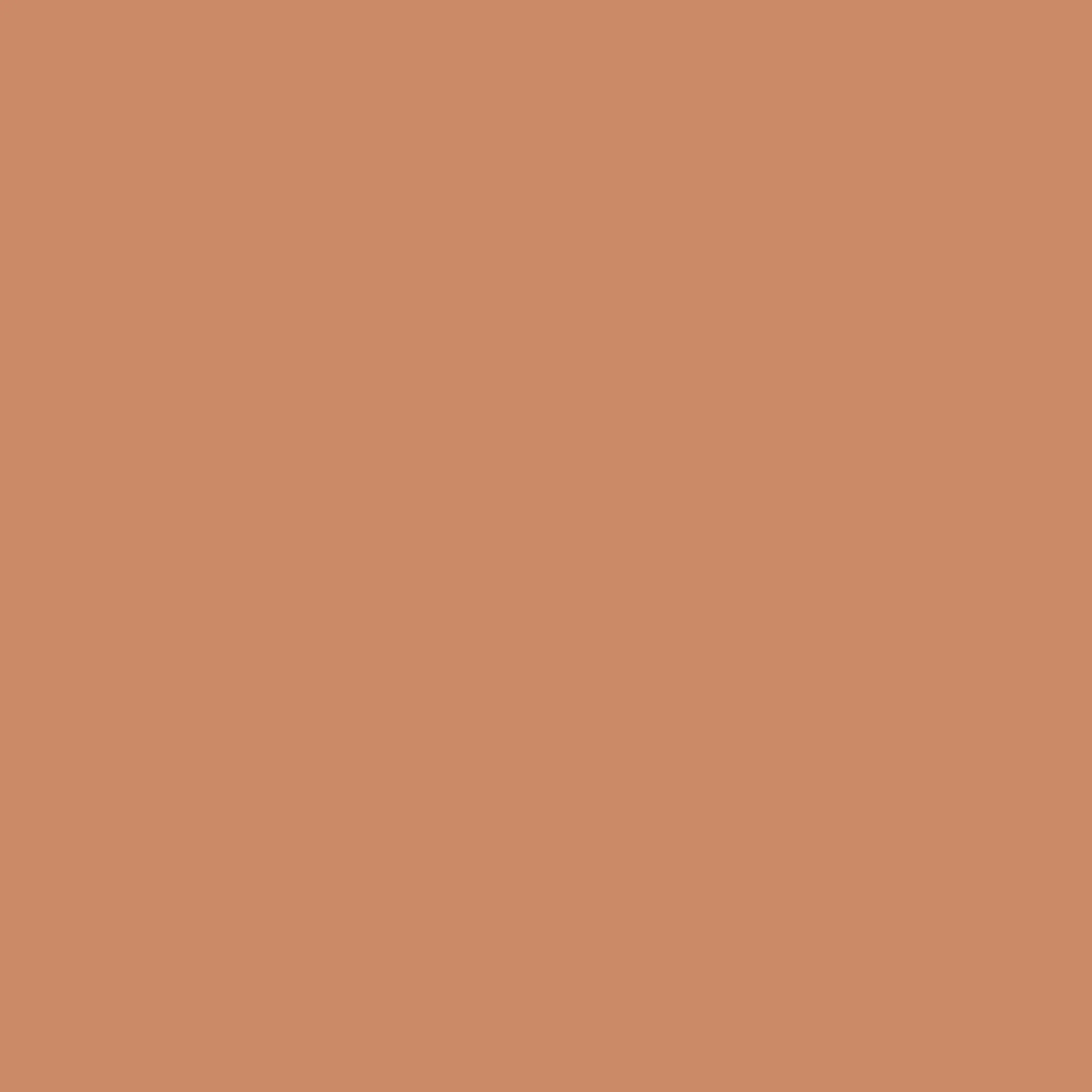 GBB943 BB CREAM LIGHT MEDIUM